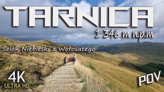 Tarnica 1 346 m n.p.m. Szlak Niebieski z Wołosatego Bieszczady POV  (4K)