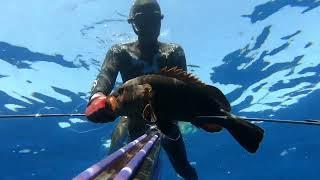 Spearfishing Greece 2024 - Part 2 (Dentex, Groupers, Sargos, Amberjack)