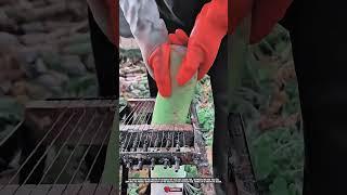 Feed Preparation Tool: Innovative Vegetable Slicing Tool for Livestock
