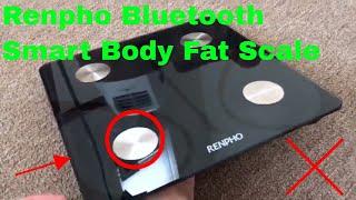   How To Use Renpho Bluetooth Smart Body Fat Scale Review