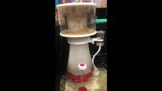 Vastocean Protein Skimmer