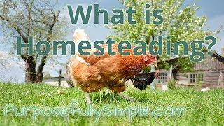 What Is Homesteading!?