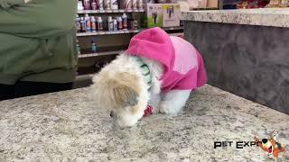 Pets That Visit Pet Expo!