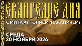 Толкование Евангелия с митр. Антонием (Паканичем). Среда, 20 ноября 2024 года.