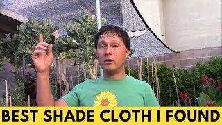 Best Shade Cloth to Reduce Temperature of Plants for Your Vegetable Garden