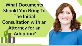 What Documents Should You Bring To The Initial Consultation with an Attorney for an Adoption?