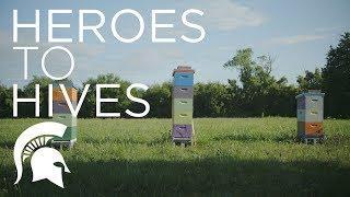 Heroes to Hives | Michigan State University