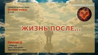 Николай Ш "Жизнь после..."  28.07.2024г