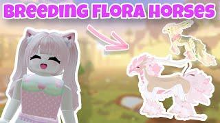 Breeding Flora Horses in Horse Life! Trying For Pink Foals 