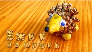 веселый ежик с шишки