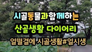 남편따라 시골생활 시작한 여자의다이어리.