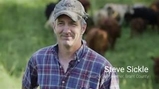 Farming for the next generation - Beef Farmer Steve Sickle