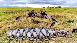 DIRTY WHEAT FIELD! 2 MAN DUCK AND GOOSE LIMIT!