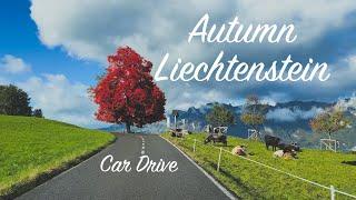 Car Drive 4K - Liechtenstein (Schellenberg)