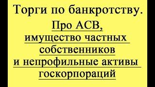 Про АСВ, имущество частных собственников и непрофильные активы госкорпораций.