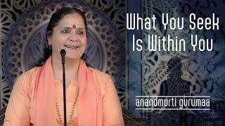 What you seek is within you  (English) | Anandmurti Gurumaa