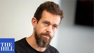 WATCH: Twitter chief Jack Dorsey delivers opening statement on social media censorship