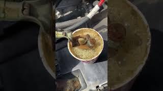 Cleaning corroded battery cables automotive DIY