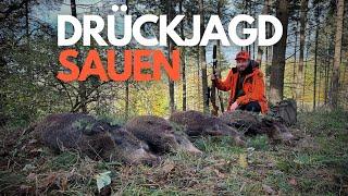 DRÜCKJAGD STORIES - Mehr Sauen als je zuvor - Best of mit der Driven Hunt!