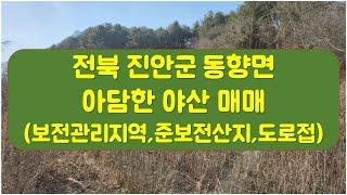 전북 진안군 동향면 작은 야산 매매 #임야매매 #작은임야 #자연인