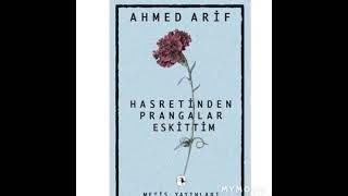 Hasretinden Parangalar Eskittim Sesli    Kitap #seslikitap #şiir #ahmetarif