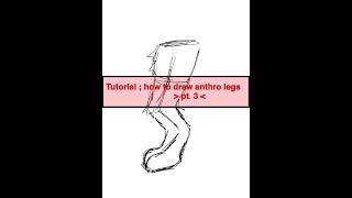 Tutorial ; how to draw anthro furry legs