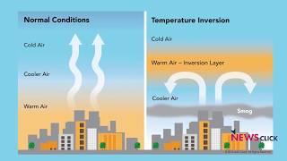 Delhi Smog: Pollution Not Just Because of Crop Burning