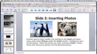 Create Multimedia PPTs on Mac