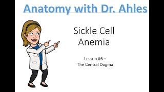 Lesson #6 - Sickle Cell Anemia