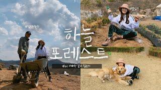 Haneul's Forest  Little Farmer / Building House / Four Doggies Vlog