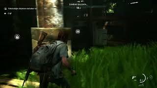 Birkan vs runner