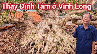 Chia sẻ kinh nghiệm mô hình trồng cây Bonsai thu về tiền tỷ của Thầy Đình Tâm ở Vĩnh Long