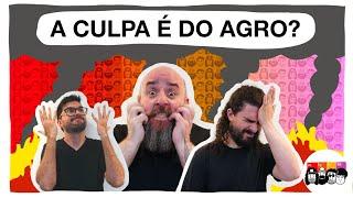 Como o AGRONEGÓCIO impacta o Brasil?