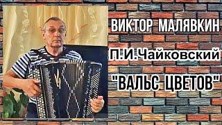 П.И.Чайковский "Вальс цветов" исп. баянист Виктор Малявкин Екатеринбург