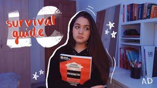 exam survival guide // leaving cert