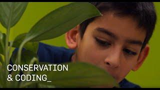 Coding and Conservation - Be Creative, Be Cool | Cypher Coders