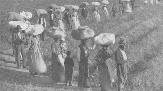 Vintage Photos of Alexander Knox's Cotton Plantation Near Charleston, South Carolina (1874)