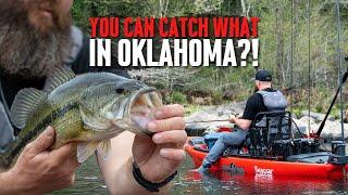 Oklahoma has Fish!?! |  Road Trip Angler