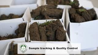 Soil Analysis Process