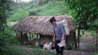 What made the homeless girl leave the place she was living - what will Tieu Ai's future be like?