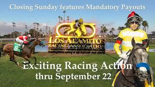 September Thoroughbred Meet - Closing Weekend 2024