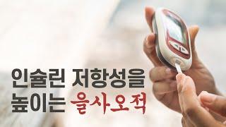 굶었는데도 살 찌는 이유?!?! 인슐린저항성을 높이는 5가지 원인