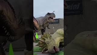 Dinosaur  Park