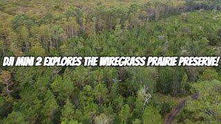 DJI Mini 2 Explores The Wiregrass Prairie Preserve!