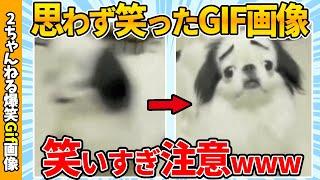 【総集編】おもしろGIF画像で吹いたら寝ろww by 2ch【コメ付き】【ゆっくり解説】【2chスレ】【5ch】#20