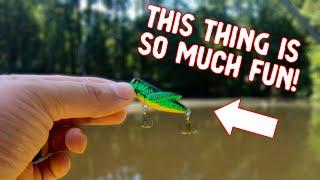 Fall Crankbait Ultralight Fishing – Rebel Crickhopper (HUGE SURPRISE!)