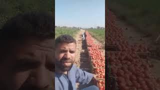 سبحان المغير ولا يتغير #العبور #اكسبلور #سوق