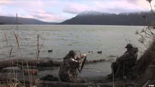 MOJOs Migration - Low Tide at Larson Bay Alaska