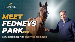 Meet Fedneys Park, Old Gold Racing's horse in training with Henry De Bromhead!