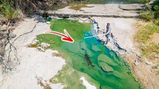 Fishing a Dying DRIED UP Creek For Trapped Fish  -- (Hidden Waters)